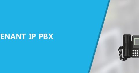 Multi-tenant IP PBX Features